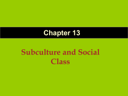 Subculture and Social Class Chapter 13