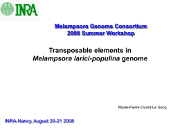 Annotation of transposable elements in genome sequences