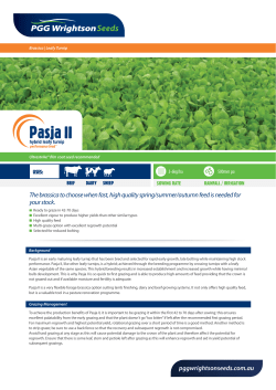 The brassica to choose when fast, high quality spring/summer