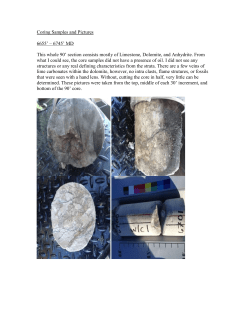 Coring Samples and Pictures