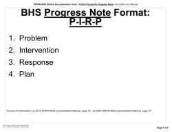 BHS Progress Note Format: P-I-R-P
