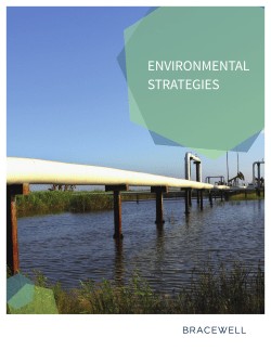 environmental strategies description
