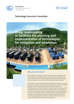 TEC Brief &ndash; Using roadmapping to facilitate the planning and