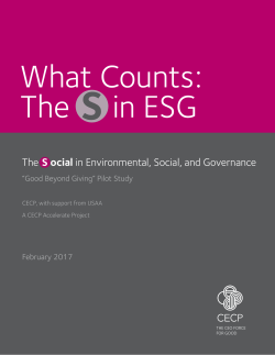 The S ocial in Environmental, Social, and Governance