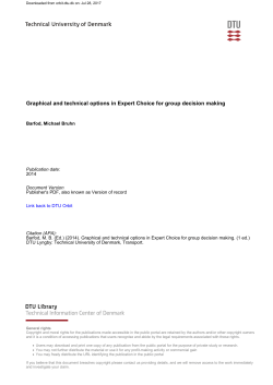 Graphical and technical options in Expert Choice for group decision