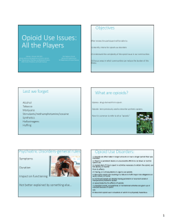 Session 13: Opioid Use Issues: All the Players