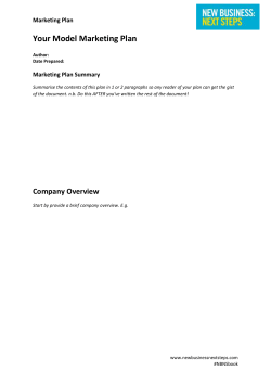 Marketing Plan - New Business: Next Steps