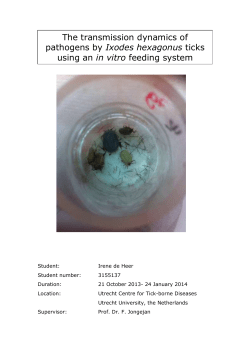 in vitro feeding meal preparation
