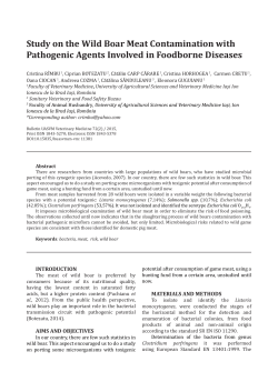 Study on the Wild Boar Meat Contamination with Pathogenic Agents