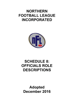 Officials Role Descriptions