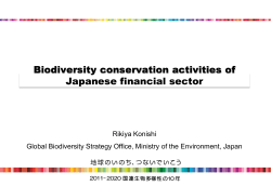 Best Practices in Japanese financial sector : Interest rate discount