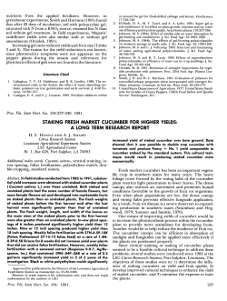 STAKING FRESH MARKET CUCUMBER FOR HIGHER YIELDS: A