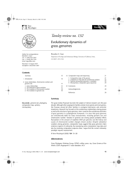 Evolutionary dynamics of grass genomes