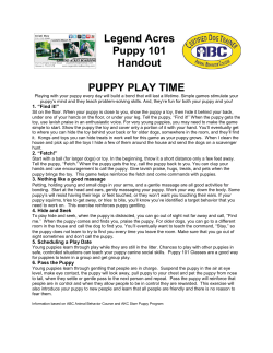 Legend Acres Puppy 101 Handout PUPPY PLAY TIME