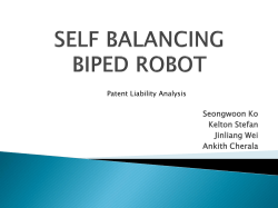 SELF BALANCING BIPED ROBOT