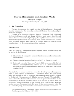 Martin Boundaries and Random Walks