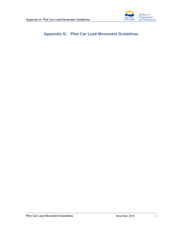 Pilot Car Load Movement Guidelines