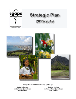 CGAPS Strategic Plan 2015 to 2019