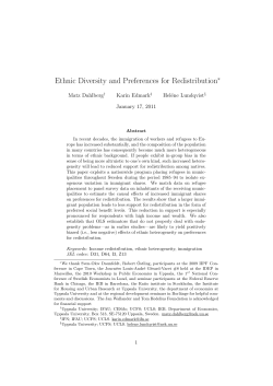 Ethnic Diversity and Preferences for Redistribution