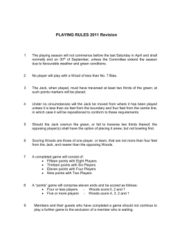 PLAYING RULES 2011 Revision