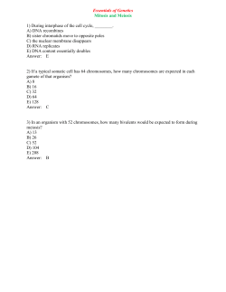 Essentials of Genetics Mitosis and Meiosis 1) During interphase of