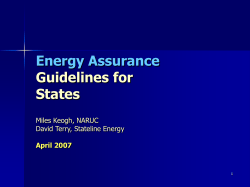 State Energy Assurance Guidelines - Southeast Energy