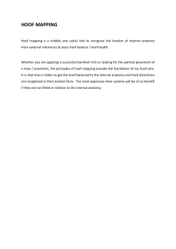 HOOF MAPPING PROTOCOL - Matt Staples Hoofcare Home