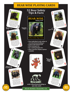 bear wise playing cards - BEAR