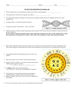 Name: Block: Date: REVIEW FOR MIDTERM EXAM (Biology IB) If