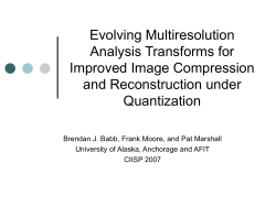 Evolving Optimized Matched Forward and Inverse Transform Pairs