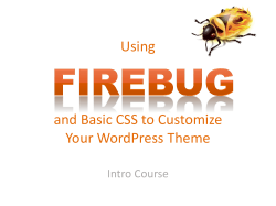 Customizing Your WordPress Theme with Firebug and CSS