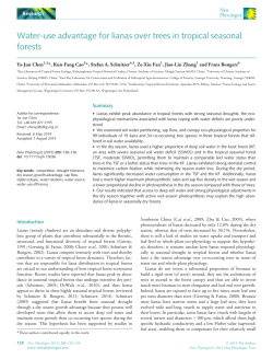 use advantage for lianas over trees in tropical seasonal forests