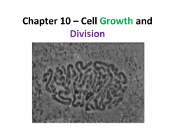 Chapter 10 * Cell Growth and Division