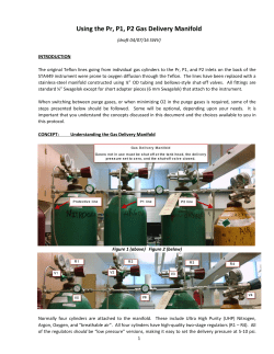 Switching Purge Gases (Pr, P1, P2 Delivery Manifold)