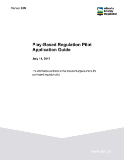 Play-Based Regulation Pilot - Application Guide