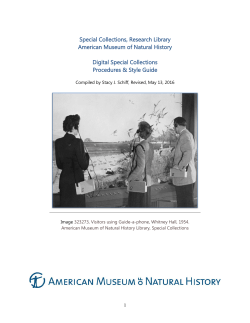 Image Database Cataloging Procedures