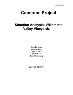 Situation Analysis: Willamette Valley Vineyards