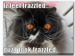 Perfectionism and Stress Reduction