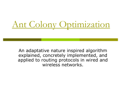 Ant Colony Optimization