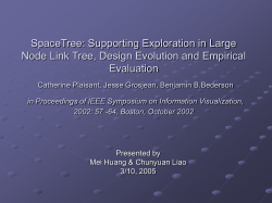 SpaceTree: Supporting Exploration in Large Node Link Tree, Design