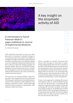 A key insight on the enzymatic activity of AID