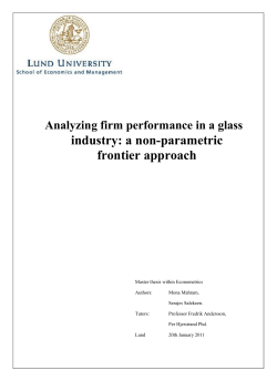 industry: a non-parametric frontier approach