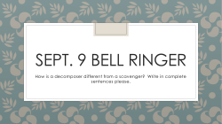 Sept. 9 Bell Ringer