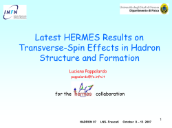 Luciano_Pappalardo_11