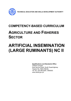 artificial insemination (large ruminants) nc ii