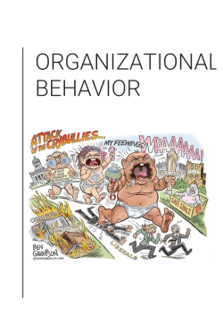 ORGANIZATIONAL BEHAVIOR
