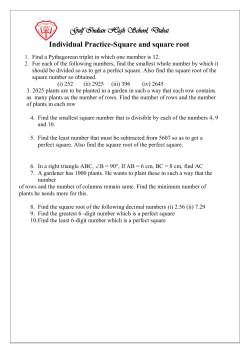 Individual Practice-Square and square root