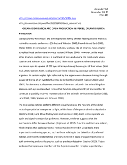 AmandaFitch_FISH441 374KB Dec 02 2013 08:11