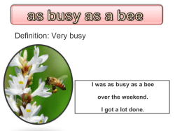 **** ** PowerPoint