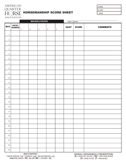 HORSEMANSHIP SCORE SHEET